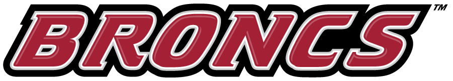 Rider Broncs 2007-Pres Wordmark Logo diy iron on heat transfer
